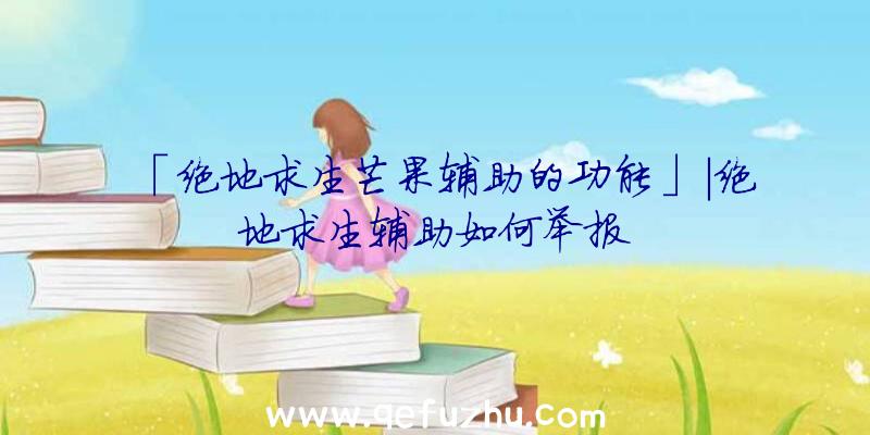 「绝地求生芒果辅助的功能」|绝地求生辅助如何举报